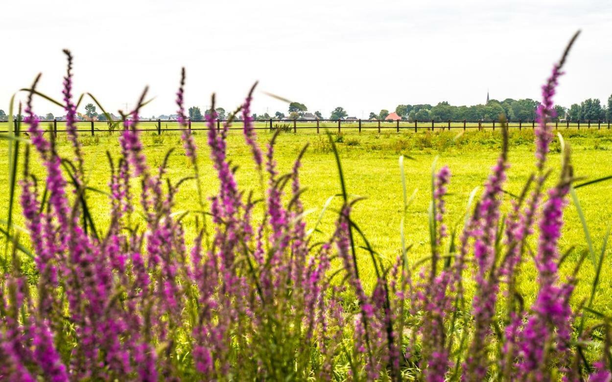Bed&Breakfast Bij Lucie Wijtgaard Buitenkant foto