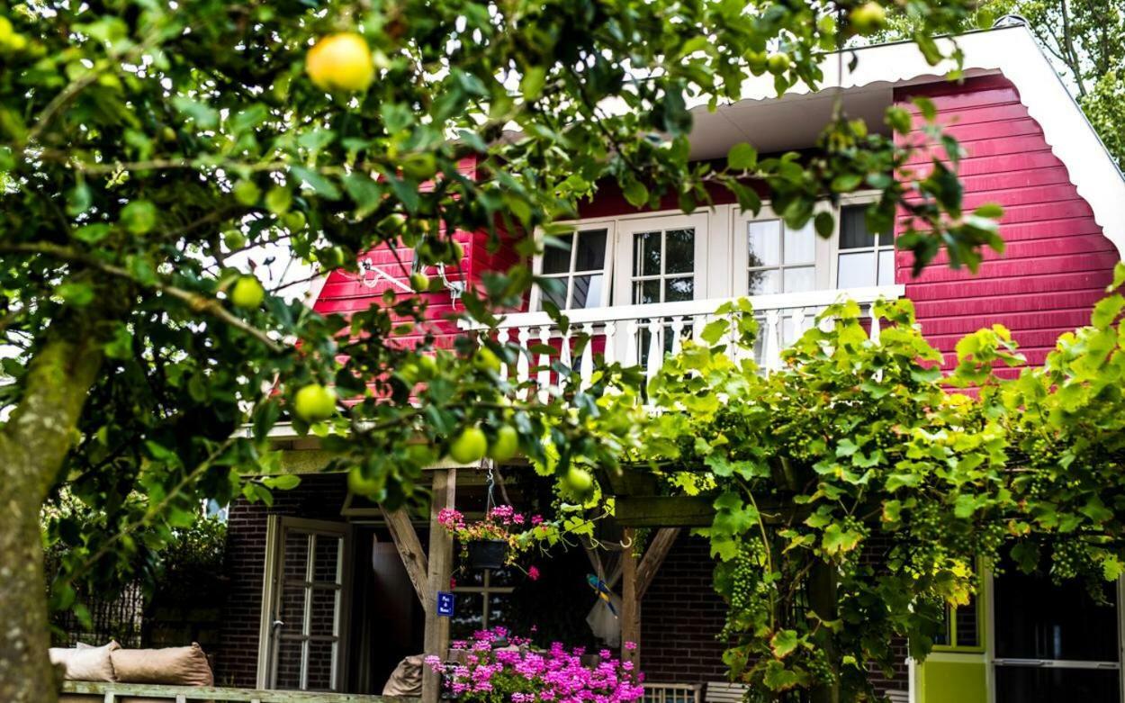 Bed&Breakfast Bij Lucie Wijtgaard Buitenkant foto